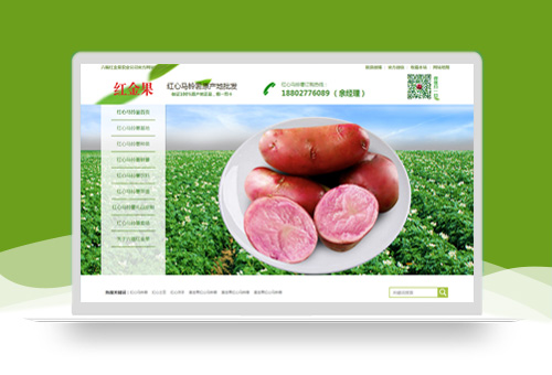 武漢網站建設案例